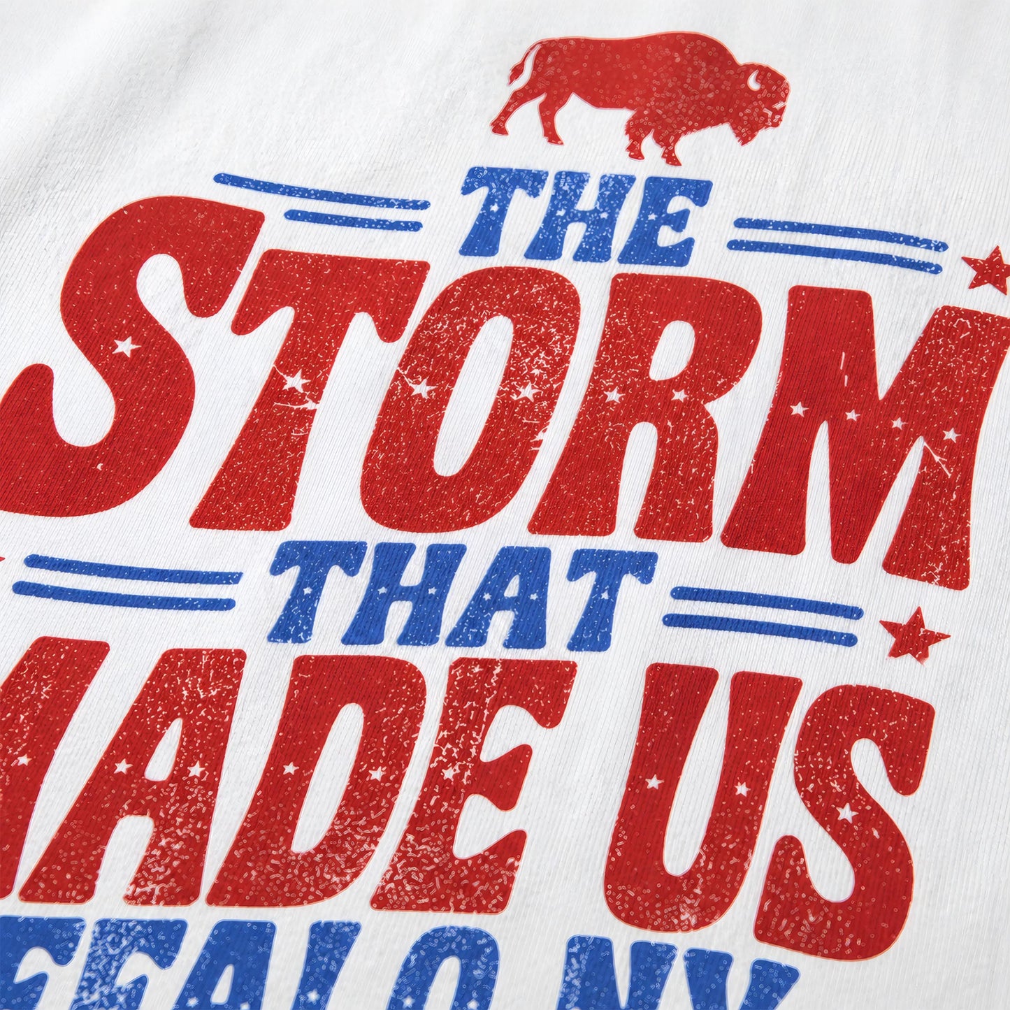 716 Supply Co. | The Storm That Made Us Vintage Style Tee